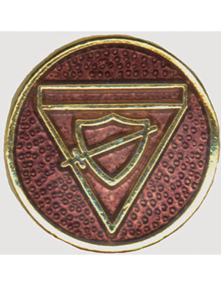 Explorateur - Pin classe Voyageur